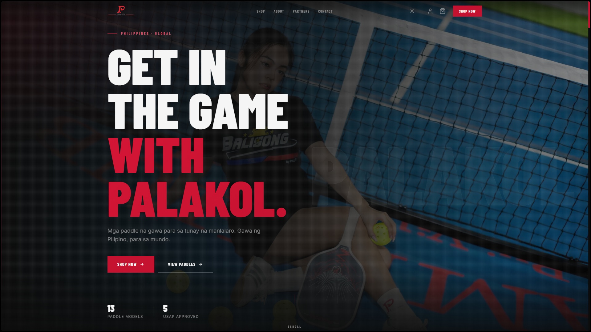 Palakol's website after LokalHost rebuilt it